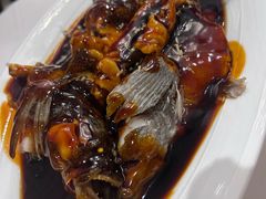 -南麓·浙里(外滩店)