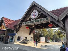 -上海海湾国家森林公园