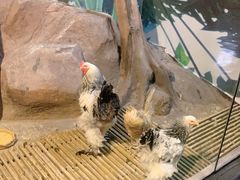 -苏州海洋馆