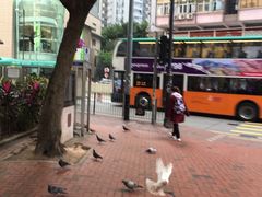 -铜锣湾如心酒店