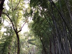 -杭州黄龙洞
