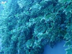 android_upload_pic-杭州花家山庄