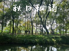 -西湖游船