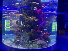 -石家庄极地海洋世界