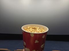 -红星电影世界上海张江绿地店