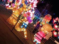 -淄博花灯齐彩城