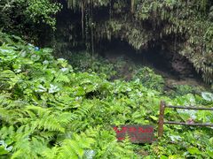 -海口火山口国家地质公园