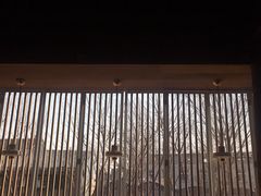 -春风习习