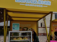 -维尔纳斯·生日蛋糕动物奶油冰淇淋蛋糕(人大店)