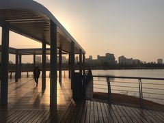 -九龙湖公园