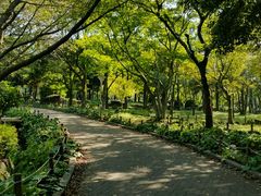 -汉拿树木园