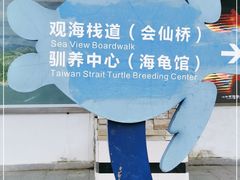 -广东惠东海龟国家级自然保护区