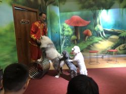 -未来动物城主题公园(正弘城店)
