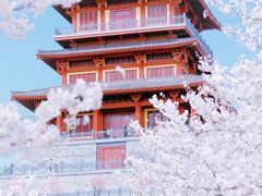 -古柏渡飞黄旅游区