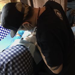 -越域刺青