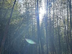 -南京市无想山景区