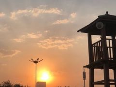 -渡海小渔村.老辈日照菜
