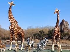 -北京野生动物园