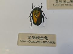-中国湿地博物馆