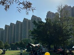 -成都南湖公园