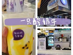 -一只酸奶牛(来福士店)