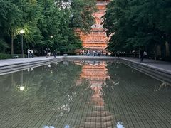 -玲珑塔公园