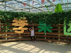 -上海都市菜园