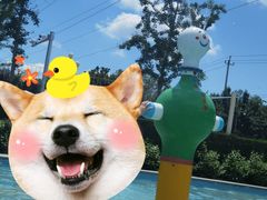 -南宫温泉水世界