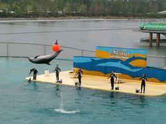 -秦皇岛乐岛海洋王国