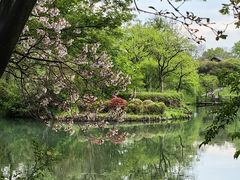 -西溪国家湿地公园