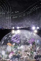 点击看大图 -浙江1+1主持人工作室