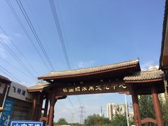 -中环花鸟鱼虫市场