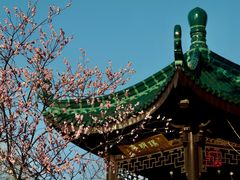 -无锡梅园公园