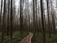 -上海怡沁园度假酒店