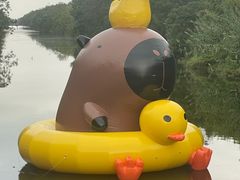 -黄海国家森林公园