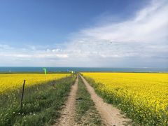-青海湖国家重点风景名胜区