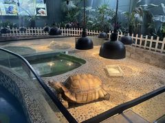 -上海大自然野生昆虫馆(东方明珠·爬宠昆虫探索中心)