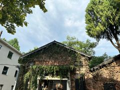 -梵几(东信·和创园店)