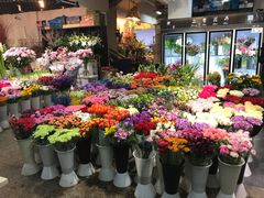 -双季花艺园艺市场(浦东店)