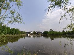 -白鹭湾湿地公园