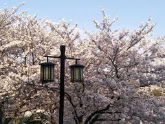 -苏州上方山国家森林公园