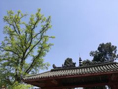 -金堂县云顶石城风景区