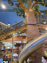 -卡通尼·Safari非洲探索乐园·生日会(金桥国际商业广场店)