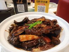 精品葱烧海参-丰泽园饭店