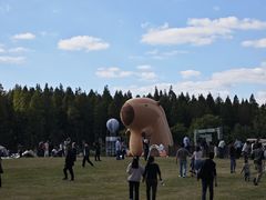 -黄海国家森林公园