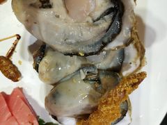 大西洋深海生蚝-蓝钻·国际美食海鲜自助百汇(西直门店)