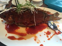 -海天楼中餐厅(天津泛太平洋店)