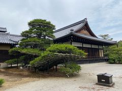 -豆政(金閣寺境内売店)