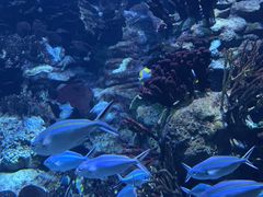 -香港海洋公园