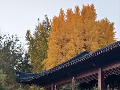 -郑和公园